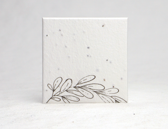 Branch Sketch square seed paper tags
